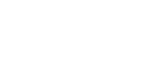 Kostal white