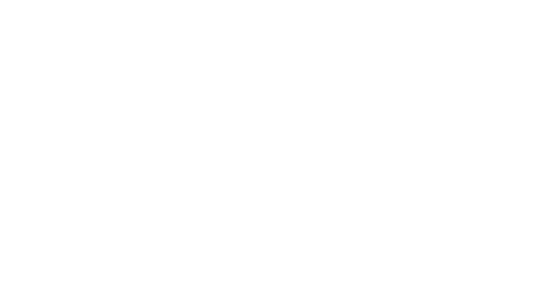 byd white