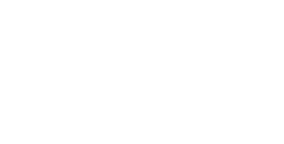 fronius white